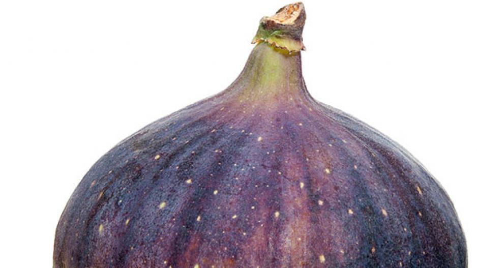 mixxd - freche früchte